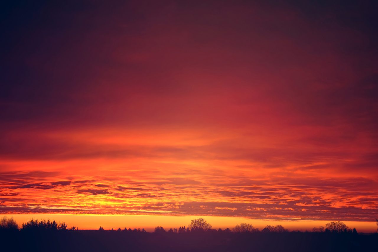 Horizonte urbano de Tokio